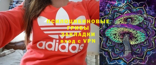 индика Аша