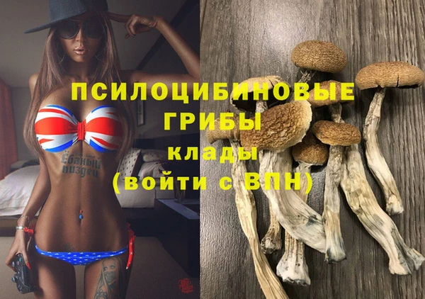 стаф Алексеевка