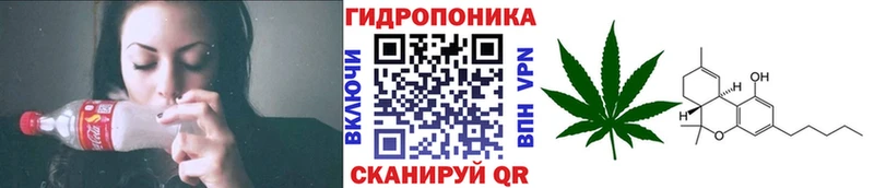 Бошки Шишки сатива  цены   Слюдянка 